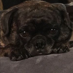 Meet your Posher, Nichole